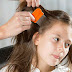 Head Lice: Symptoms and Risk Factors | Home remedies for treating head lice