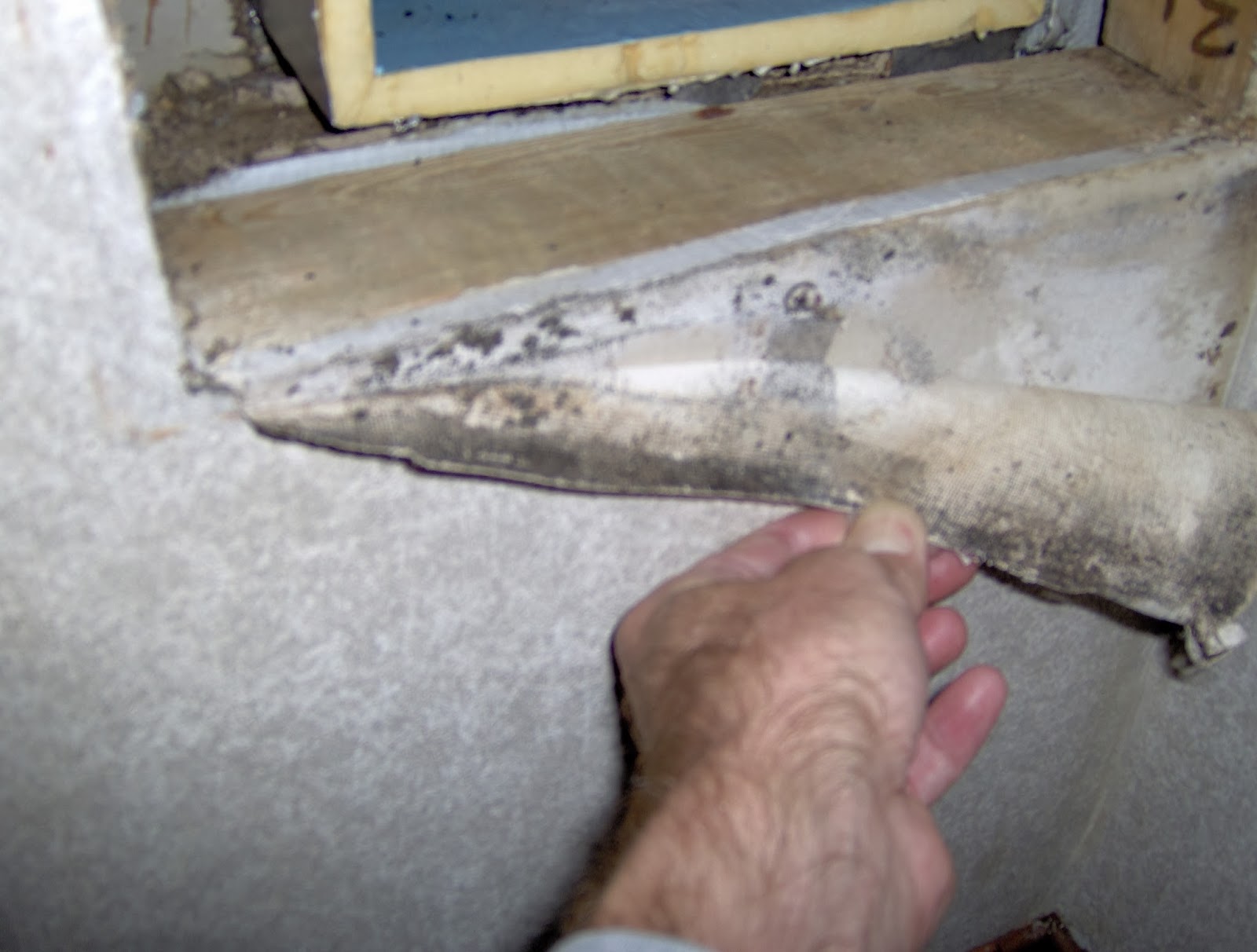 Salisbury News Toxic Mold At Apartment Complex In Salisbury?