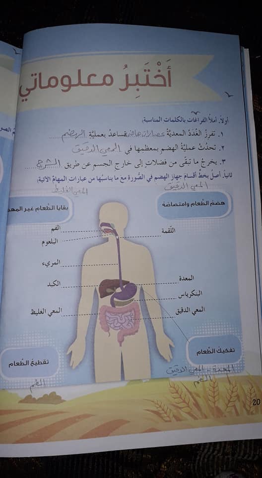 حل كتاب العلوم صف ثاني ابتدائي الفصل الاول