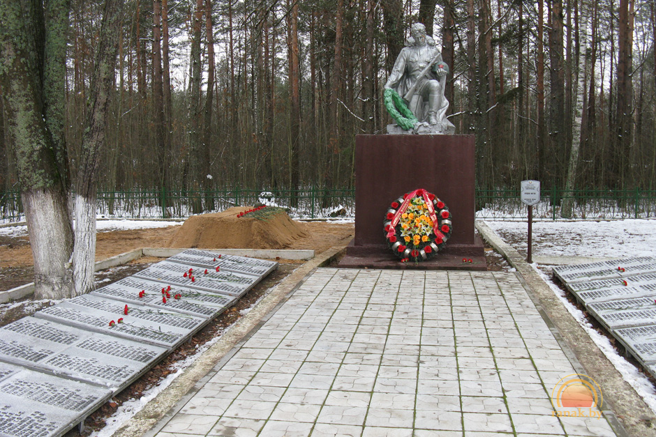 Братские могилы светлогорский район. Гомельская область захоронения. Дуброва светлогорский район гомельская область. Паричи братская могила. Братская могила речица.