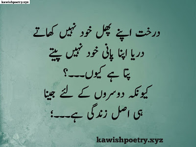 Zindagi Kya Hai Quotes In Urdu