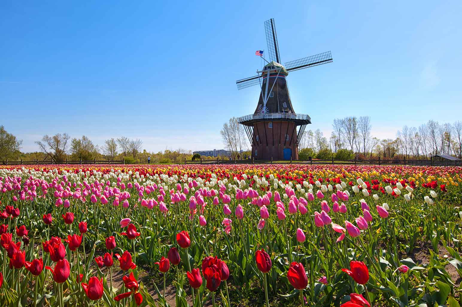 Cities in the US that Will Make you Feel Like You’re in Europe