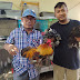 Berbulu Lebat dan Anggun, Ayam Batam Cochin Banyak Diminati