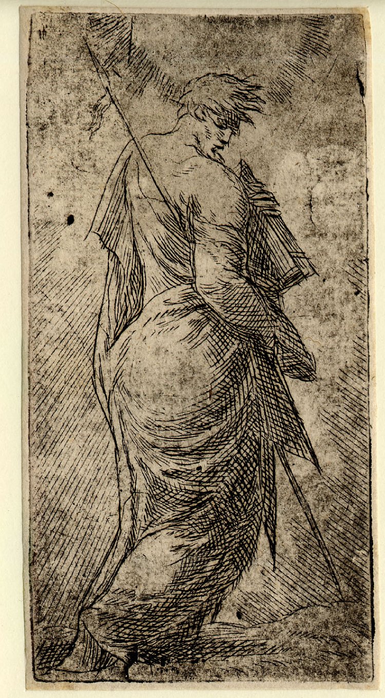 Spencer Alley Mannerism of Andrea Schiavone