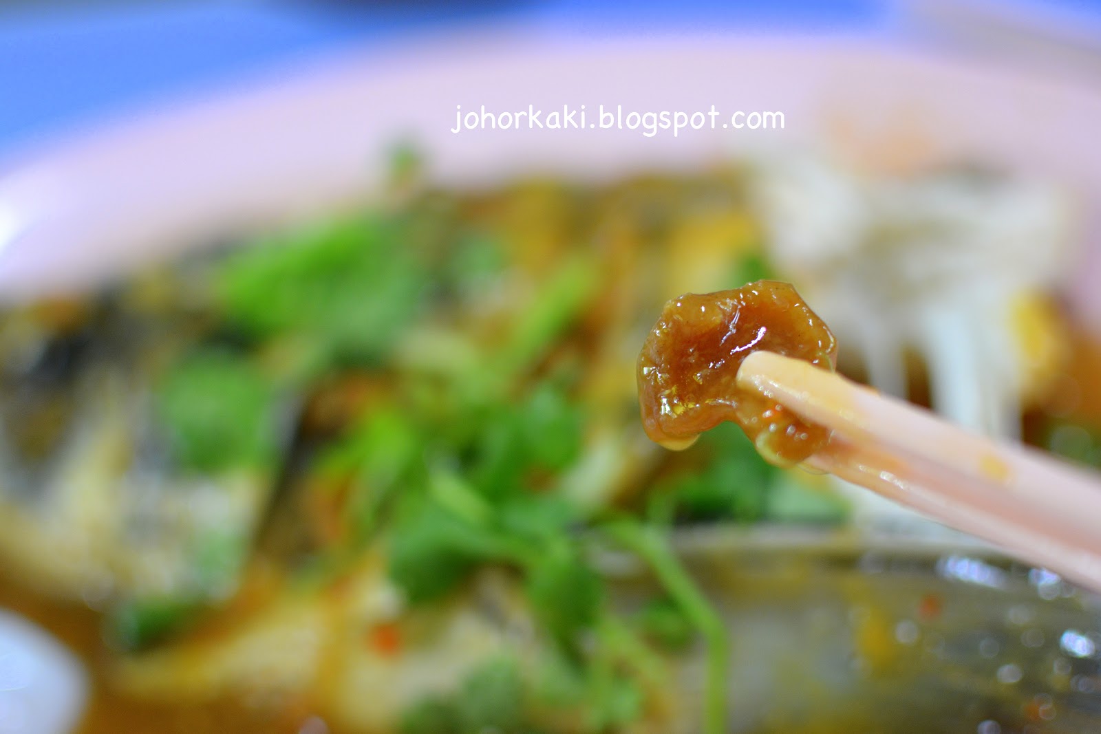 Chinatown Seng Kee 119 Famous Steamed Fish Head Singapore 成记驰名酱蒸松鱼头