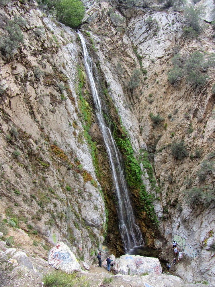 Tour Food Bazaar Supermarket Williamsburg Brooklyn Ny