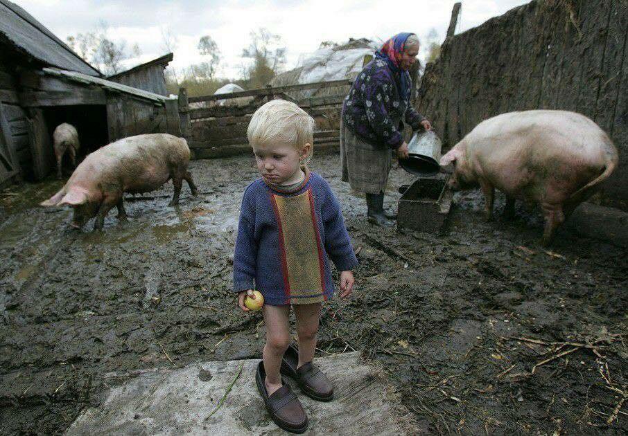 У бабушки в деревне У бабушки в деревне