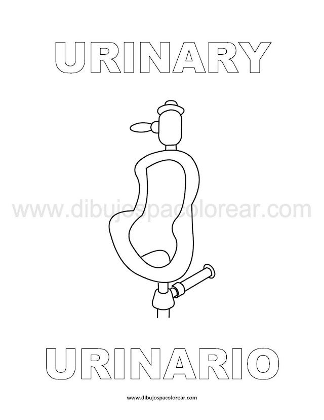 Dibujos Inglés - Español con U: Urinario - Urinary