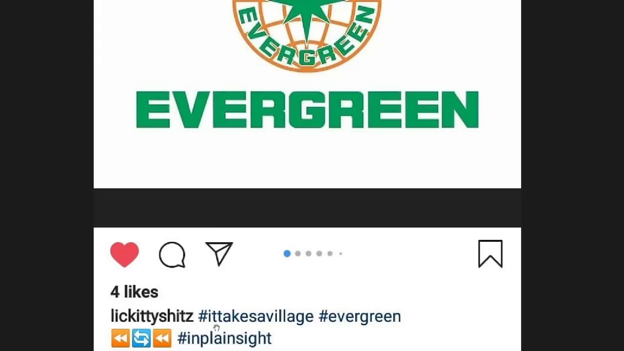 Hilary Clinton's Secret service code name was "EVERGREEN". This WILL