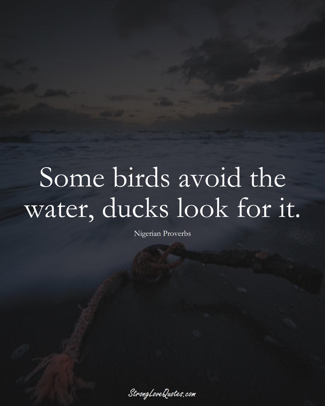 Some birds avoid the water, ducks look for it. (Nigerian Sayings);  #AfricanSayings