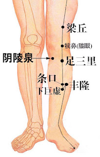 陽陵泉、足三里穴道按摩位置圖 | 陽陵泉功效 | Source:zwbk.org