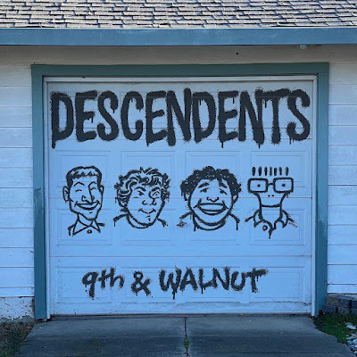 Descendents 9th And Walnut Albm