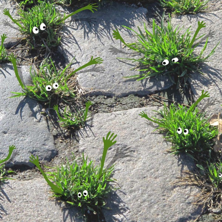 Sandrine Boulet. Видеть, а не смотреть 39