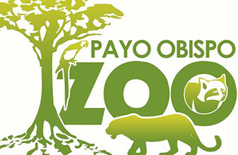 Robo en el Zoo: se llevan del “Payo Obispo” un Águila, un Lagarto y cuatro Tortugas; sospechan de ex empleado; PROFEPA se los dio para su resguardo