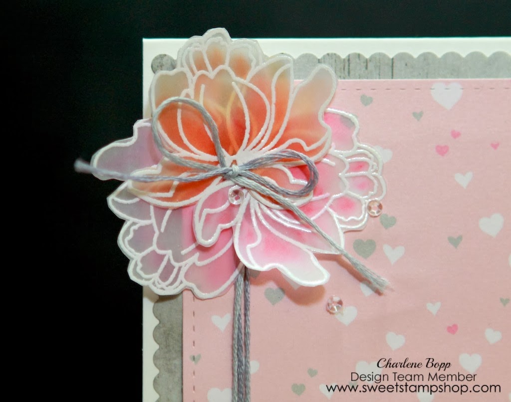 Sweet Stamp Shop Coloring On Vellum How To!