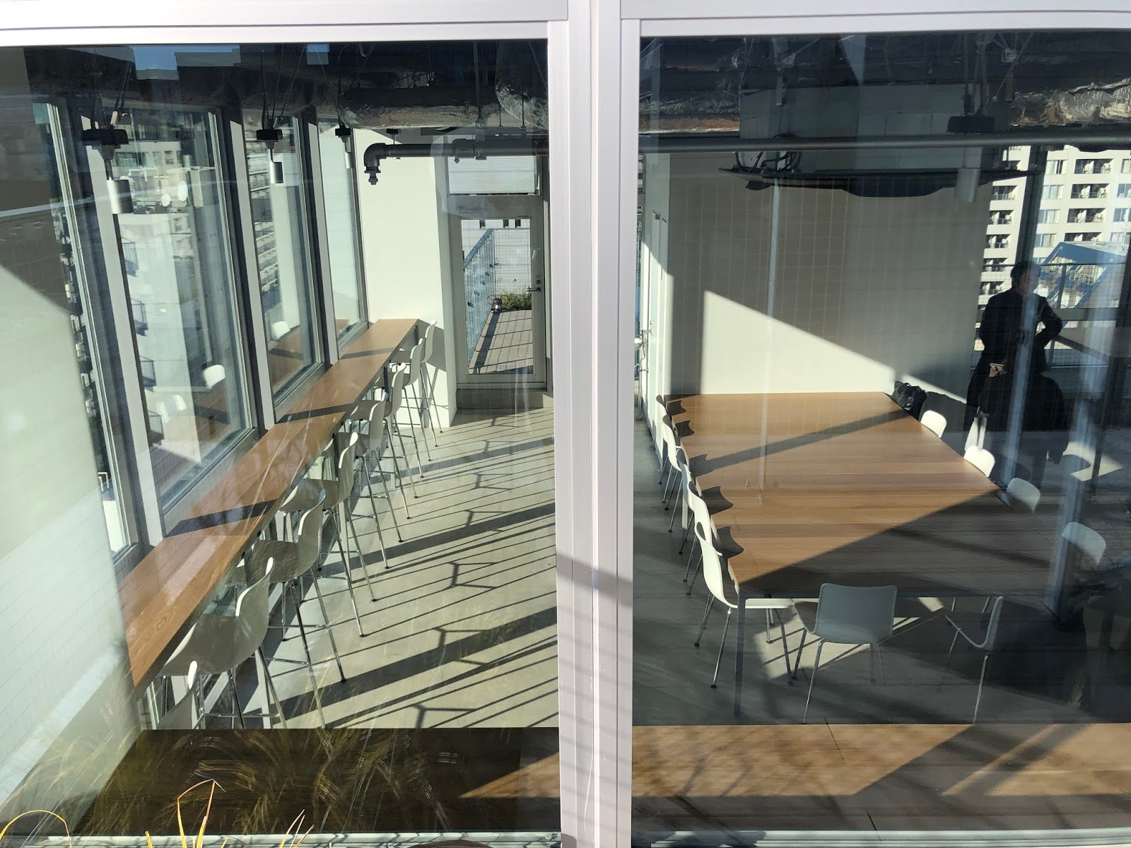 リビングルーム用の植物 - クロトン