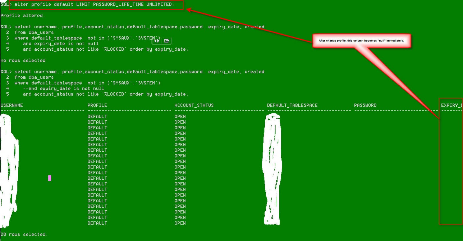 Oracle Explorer oracle-explorer
