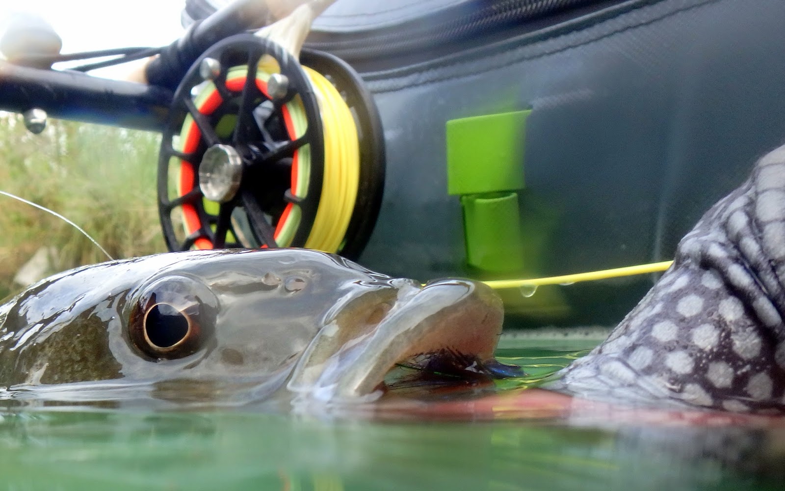Gorge Fly Shop Blog: Ross Evolution R Fly Reels