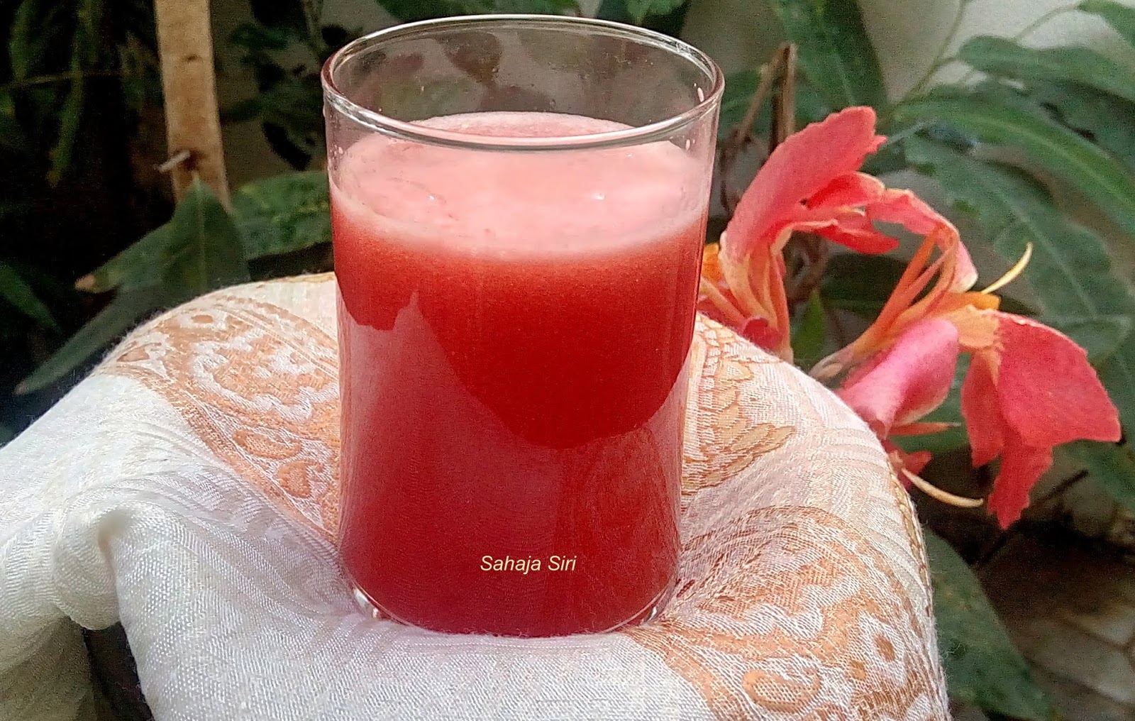 Home remedies for Mouth Ulcers