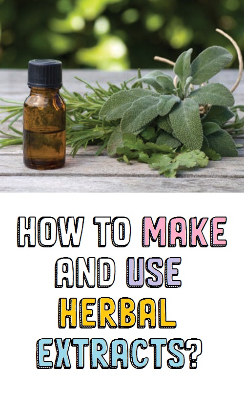 Are Herbal Extracts Good For Your Skin? and How To Make And Use Herbal