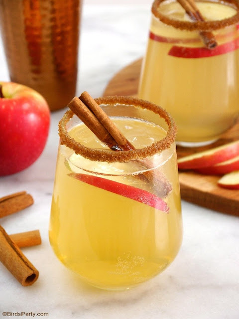 Apple Cinnamon Punch Cocktail Recipe
