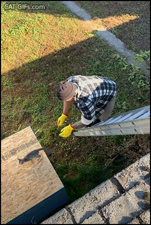 Featured image of post Man Falling Off Ladder Gif