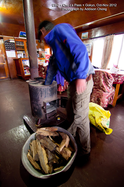Woods and Yak dang were used for burning in Himalaya Woods and Yak dang were used for burning in Himalaya