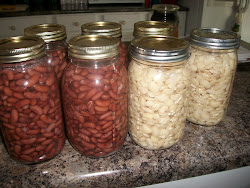 beans canned dried canning pressure pantry before baked prepared patriots pincher penny processing delaware warn