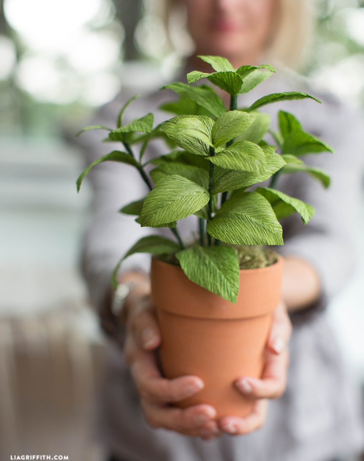 4 Diy para crear plantas que no podrás creer que son artificiales