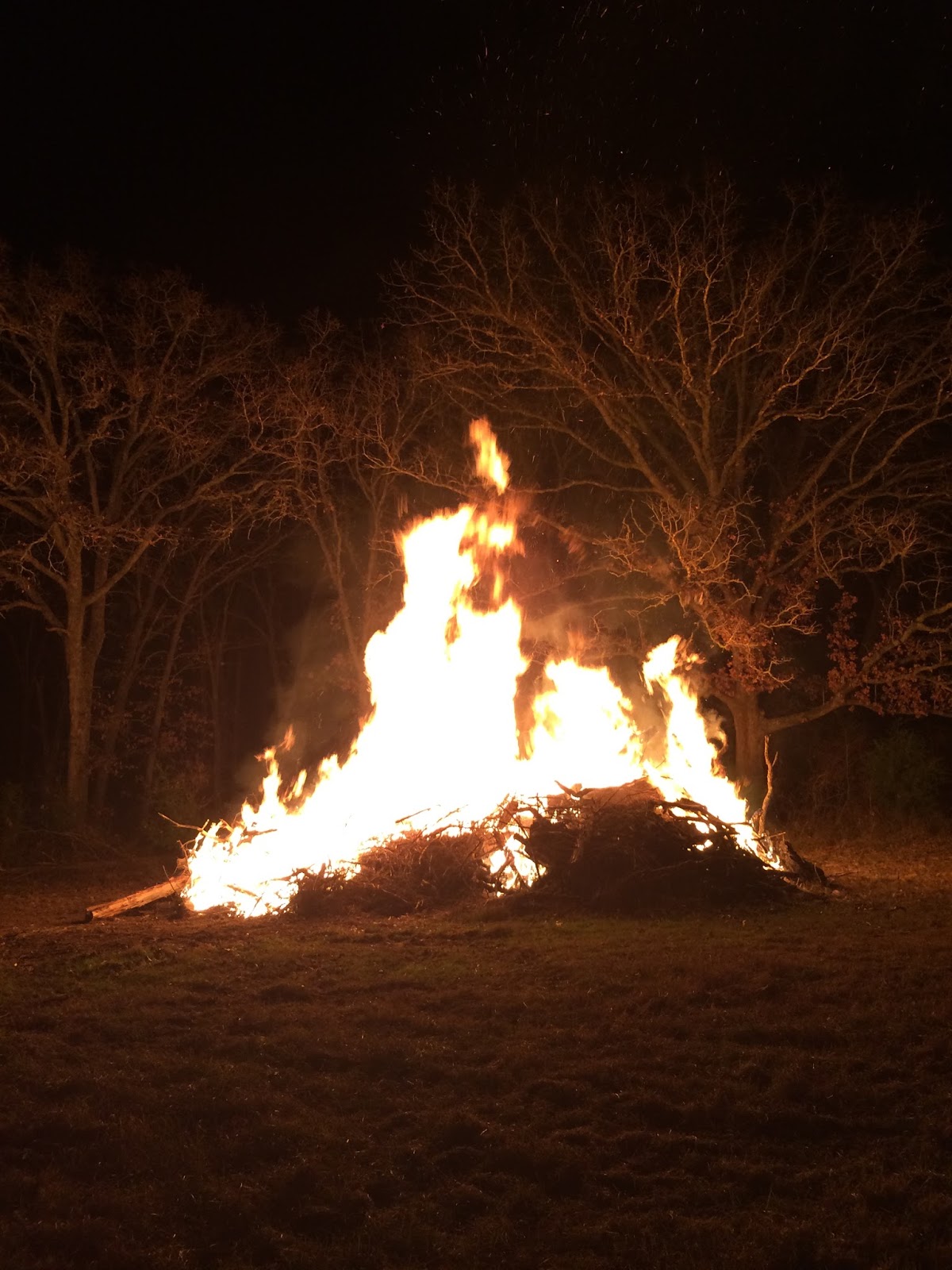 We Love Texas Bonfire