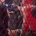 UFC: vídeo mostra McGregor ameaçando Poirier e esposa