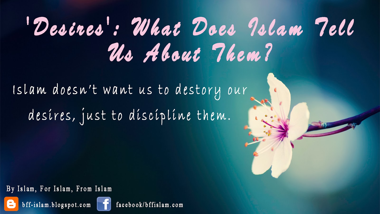 By Islam For Islam From Islam Desires What Does Islam Tell Us By Islam For Islam From Islam Desires What Does Islam Tell Us