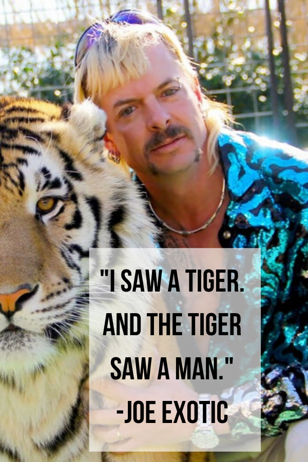 These are the voyages of the Starship Kete