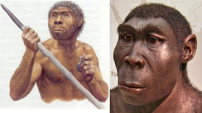 homo erectus sapiens