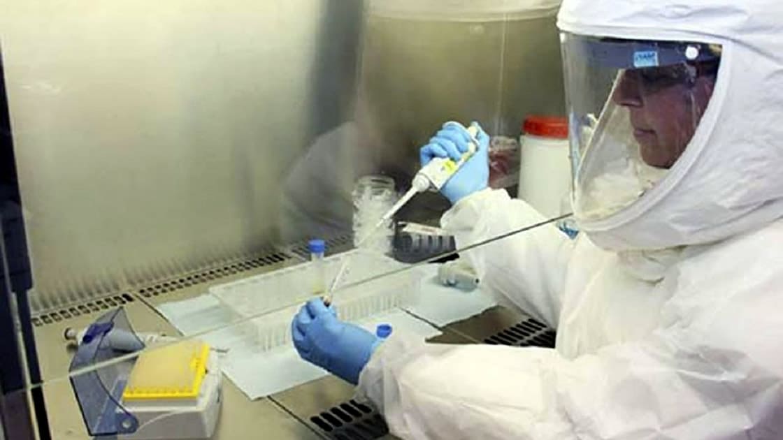 Coronavirus-laboratorio