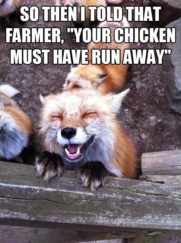 30 Funny animal captions - part 19 (30 pics), laughing fox meme