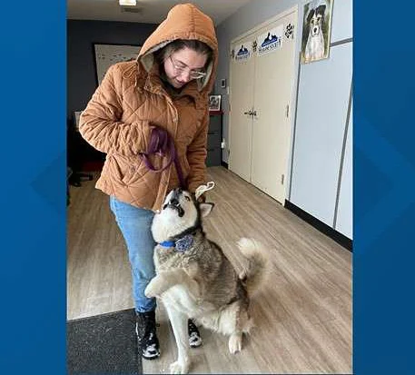 Teenager kennel technician slept with dog at animal shelter during Texas snowstorm
