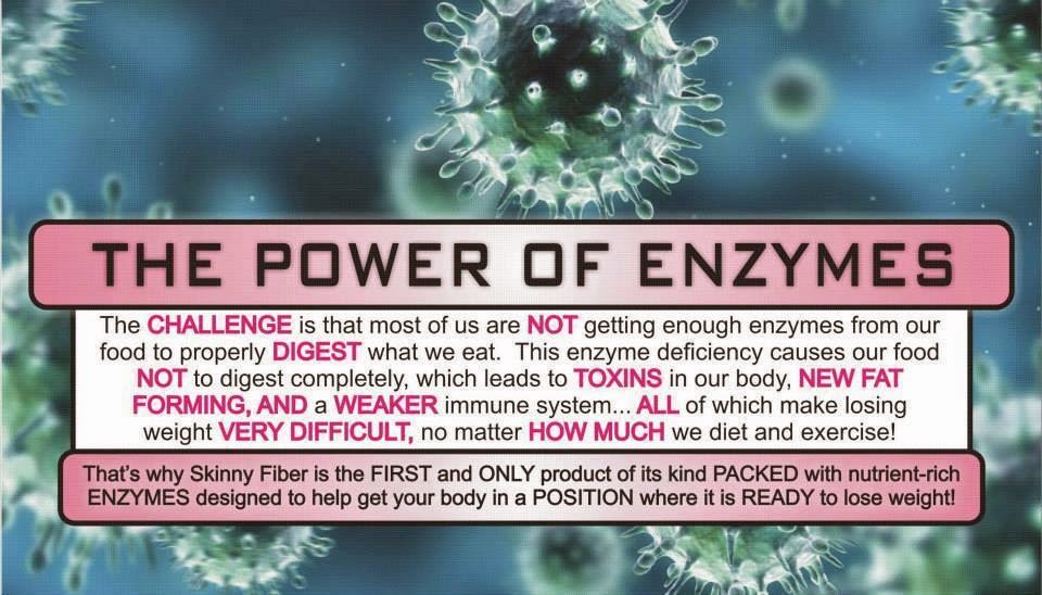 Why Digestive Enzymes in Skinny Fiber is so important