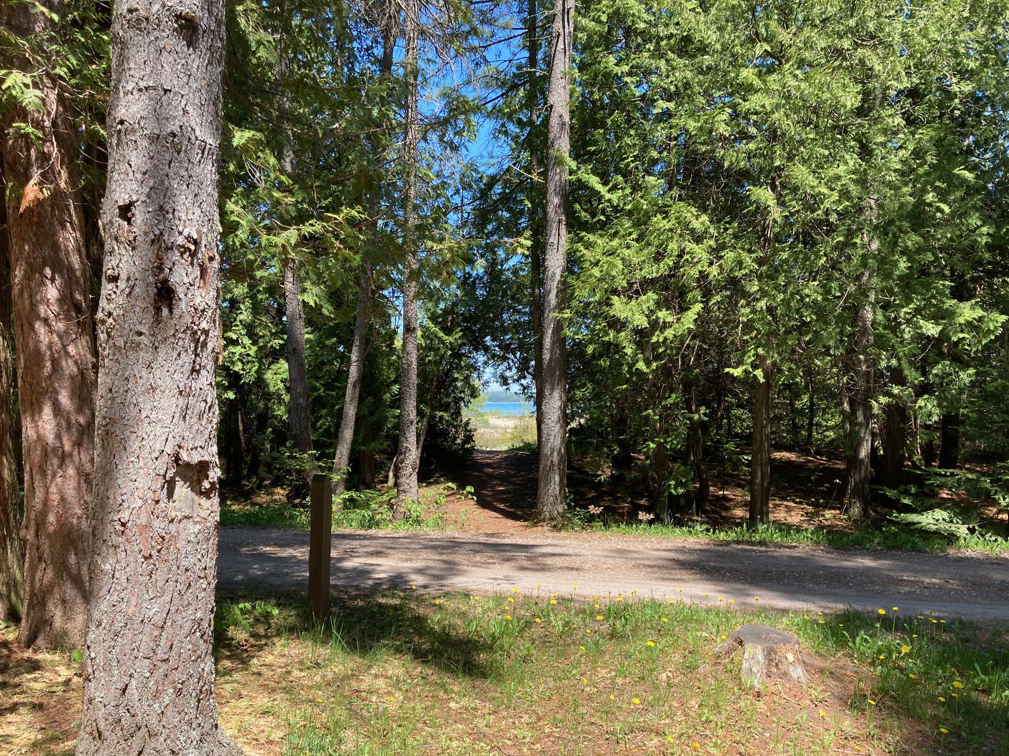 Travel Reviews & Information DeTour Village, Michigan DeTour State Forest Campground