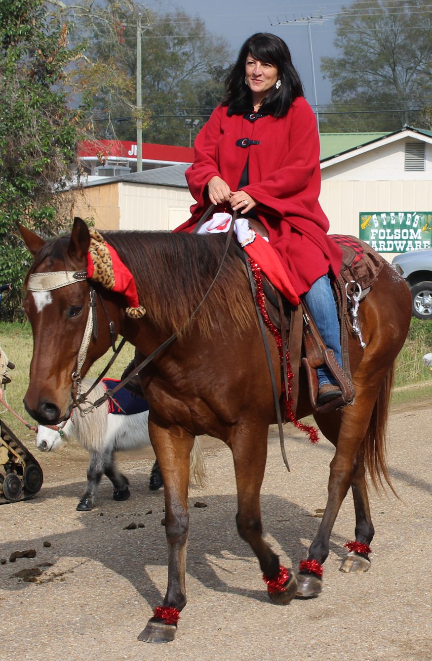 Tammany Family Folsom Horse & Wagon Christmas Parade