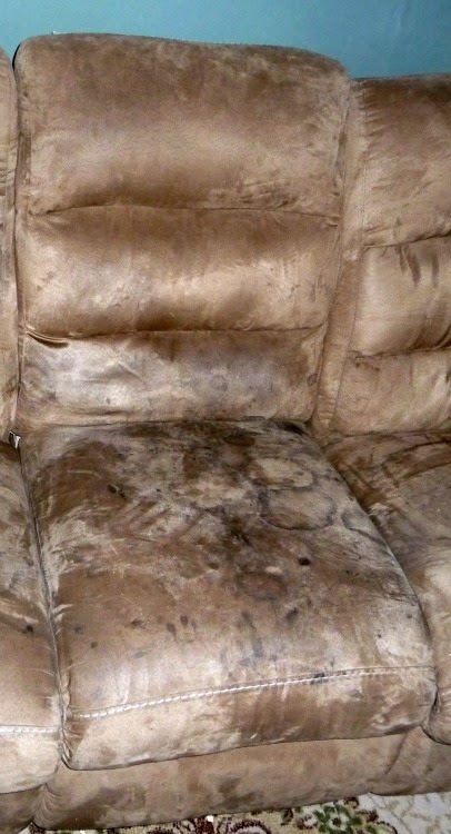 An Alternative Way To Clean A Microfiber Couch Gigglebox Tells