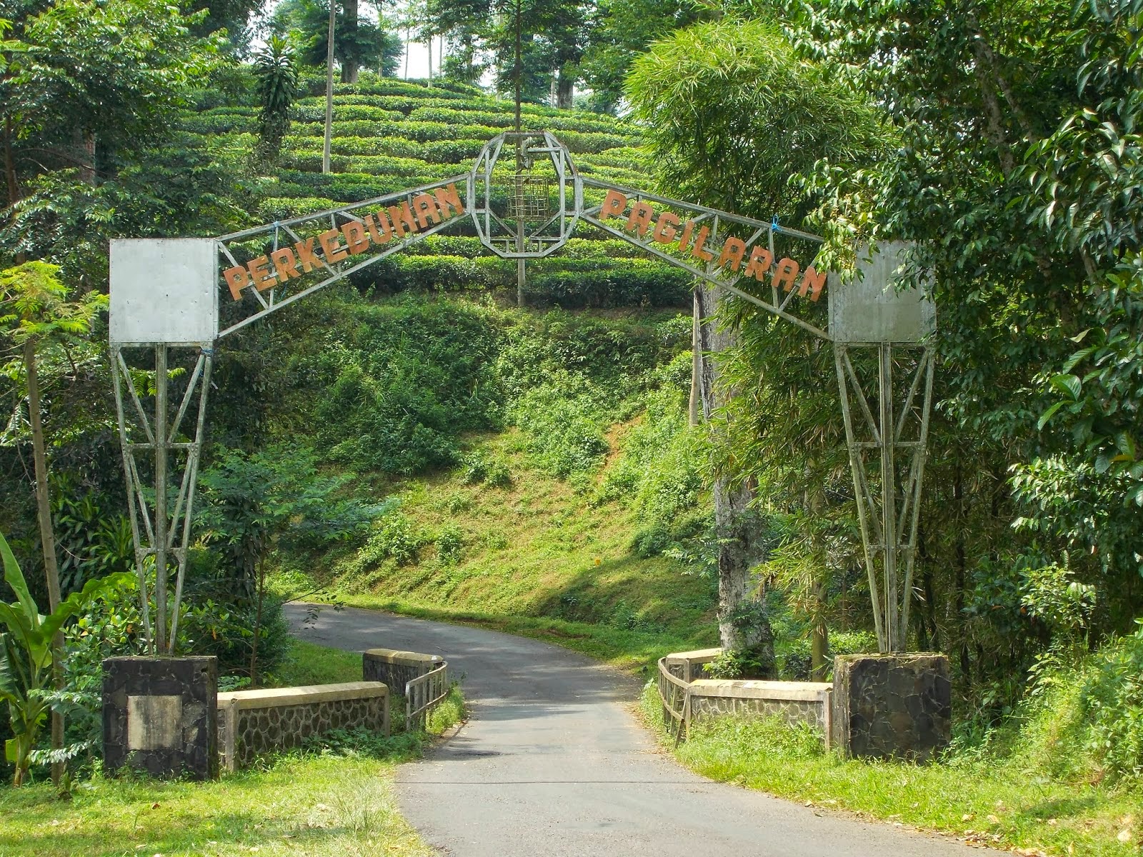 Tempat Wisata Pekalongan Batang