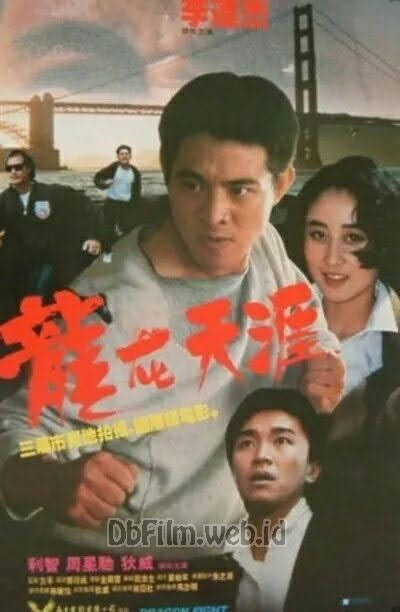 Sinopsis film Dragon Fight (1989)