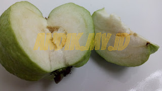 jambu, jambu kristal, foto jambu kristal, gambar jambu kristal, harga jambu kristal,