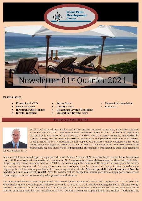 Investment Newsletter - 2021