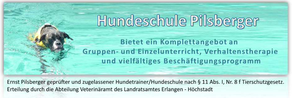 Allround Hundeschule  Pilsberger