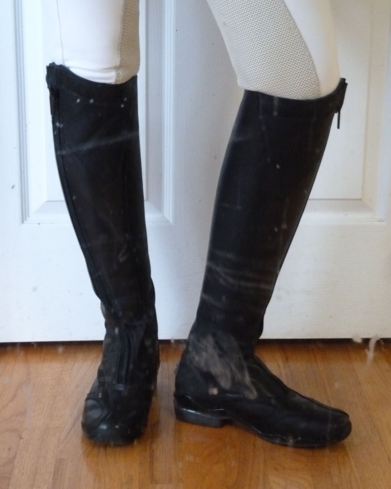 Dances With Horses Bootscootin' boogie