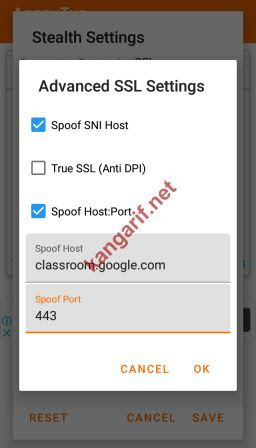 Bisakah Kuota Belajar Telkomsel Jadi Kuota Reguler Cakrawala Rafflesia