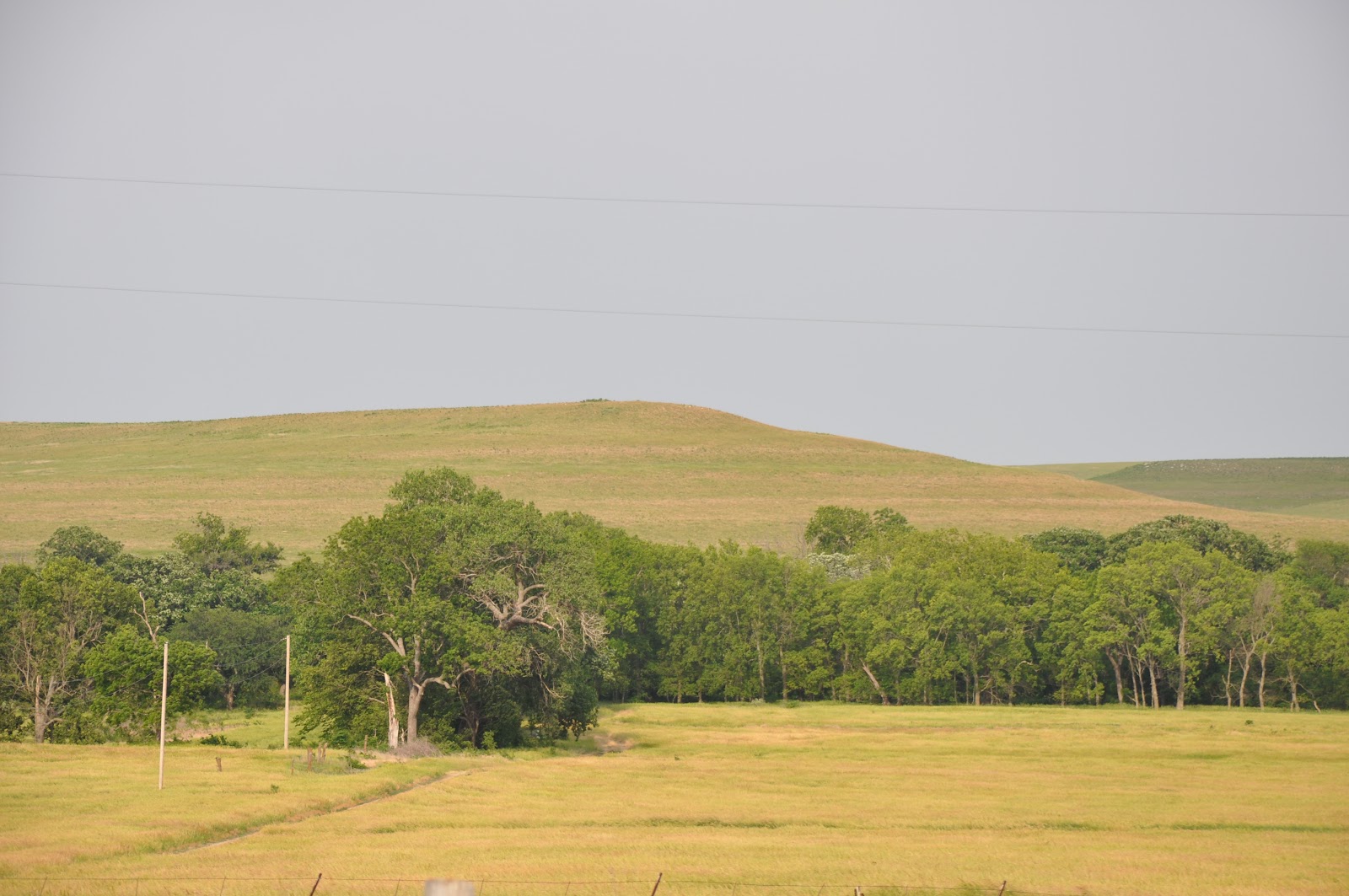 On This Glorious Homeschooling Journey De Smet, South Dakota