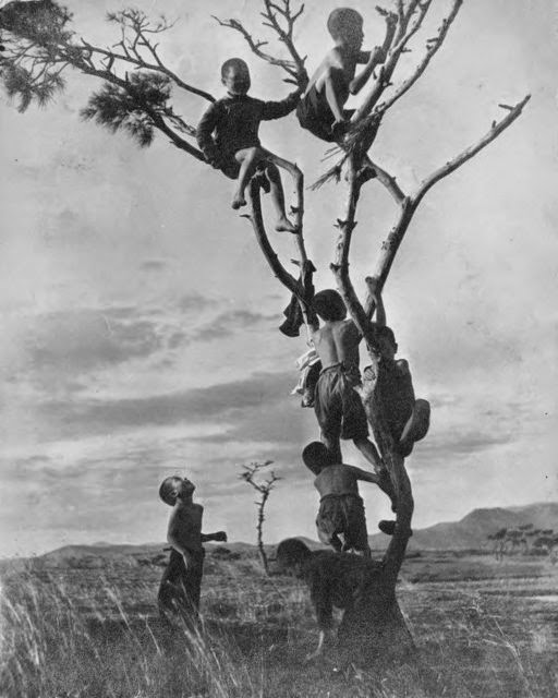 Kids / Climb a tree | Photos by Thomaz Farkas / Sigmar Polke / Sabine Weiss / Koo Wangsam